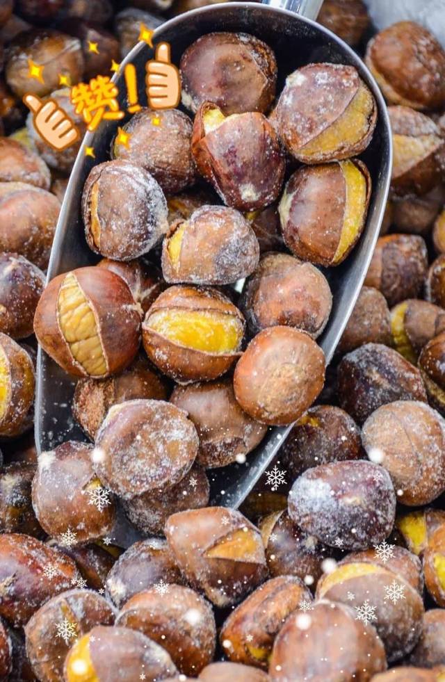 5000份冰板栗免费送!狂送半个月!网红冰魔栗又要搞事!