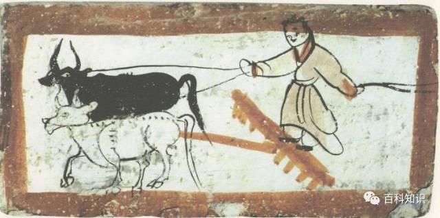 五号魏晋墓出土的彩绘砖t字形耙跃然"砖"上,系驾方式仍是二牛抬杠式