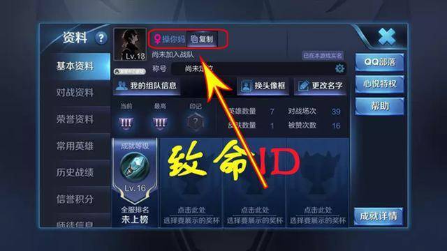 王者荣耀:女玩家取名这个游戏id后,再没有男玩家邀请他,已笑喷