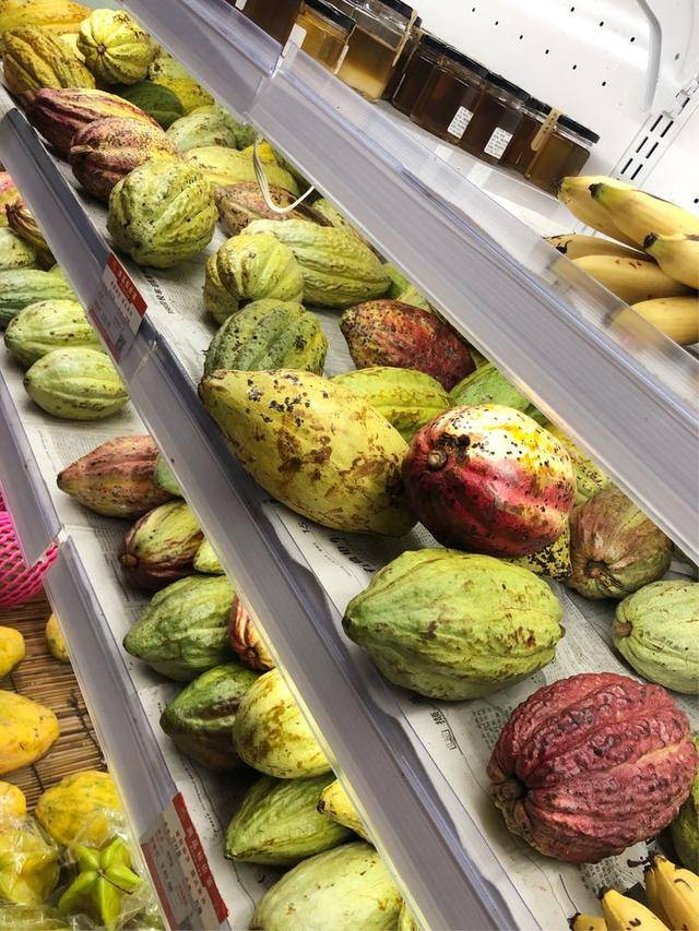 葱葱绿海,婆娑树影,幽幽果香.