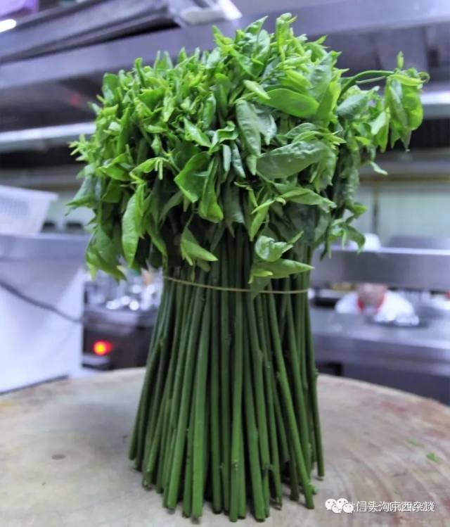 门头沟野菜图片