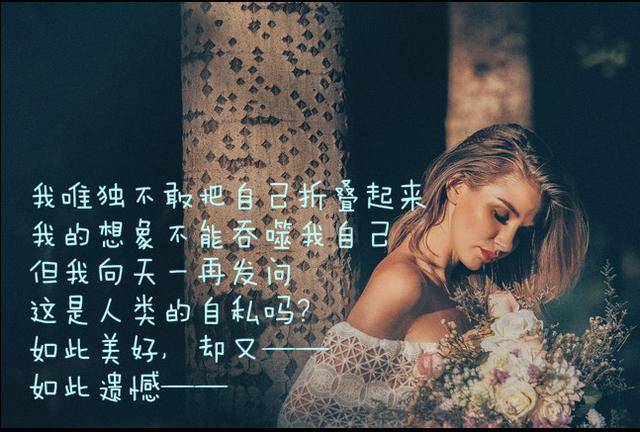 走投无路的时候,也许看看这些句子,就会释然