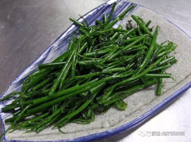 门头沟野菜图片