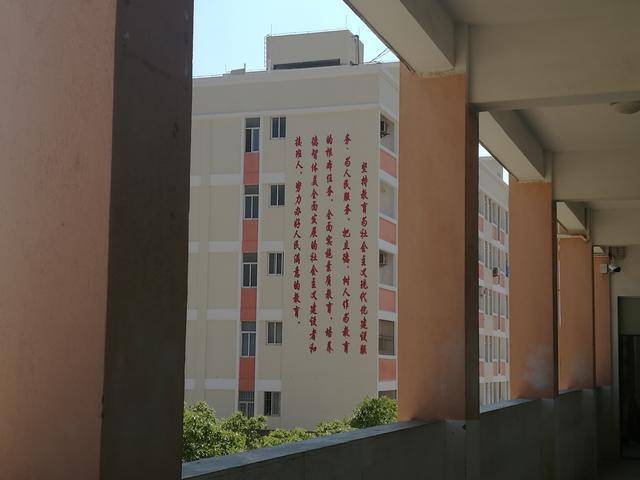 莆田市秀屿区湖东学校:创设书香育人环境,推进校园文化建设