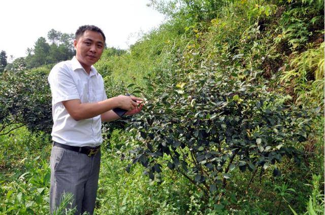 郑国彬:在健康养老服务路上高歌前行