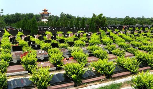 "生态安葬"也称为"绿色安葬",采用树葬,花坛葬,草坪葬,江葬,海葬