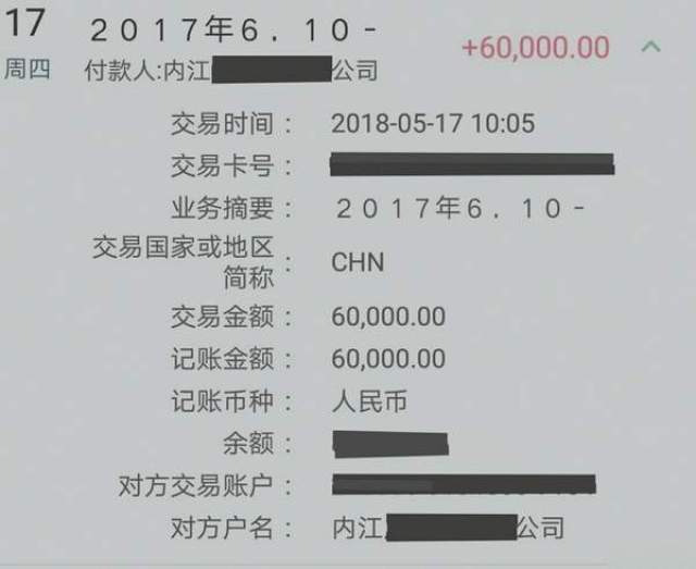 公司支付谢鹏化名工资的凭证.受访者供图