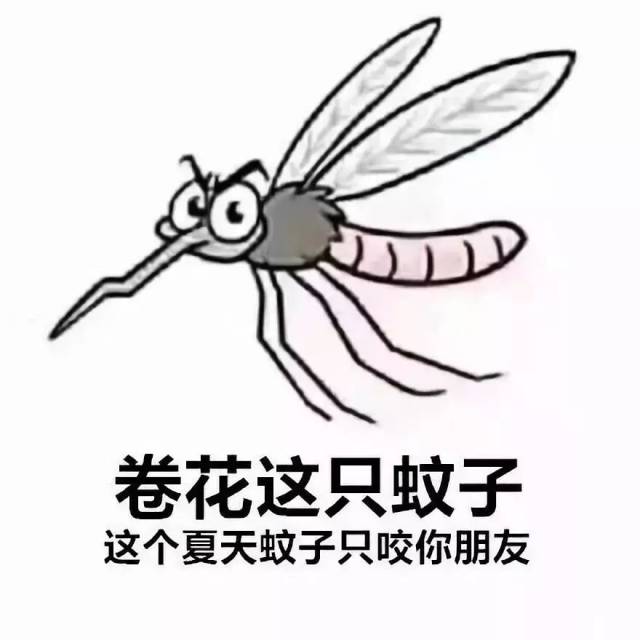 影·推荐 | 好生生的人竟被蚊子叮成了这些模样!