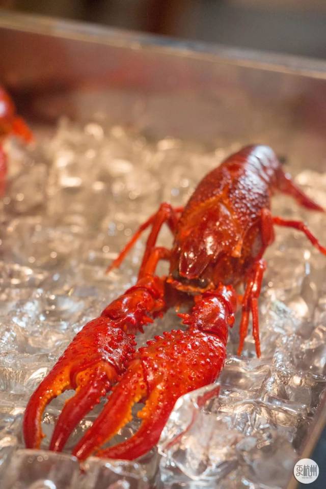 的心 确认过眼神,是我要吃的小龙虾 很多人只知道"盱眙龙虾甲天下" 却