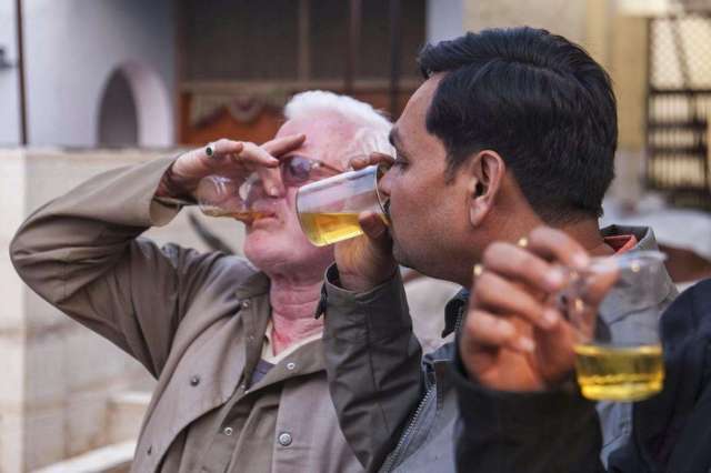印度人喝牛尿图片