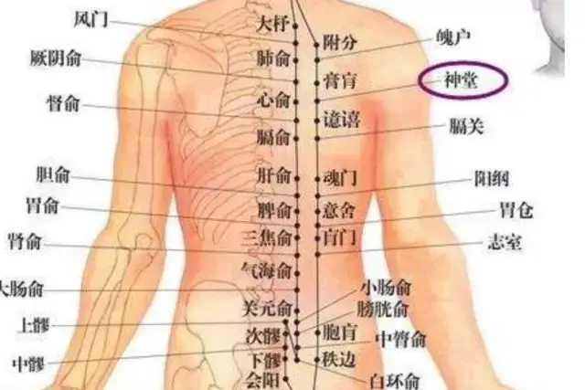 益气养神清烦宁心