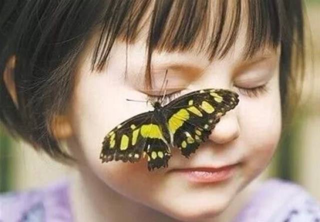 襄阳大事件!一个投资5.2亿的景区26号多项目同