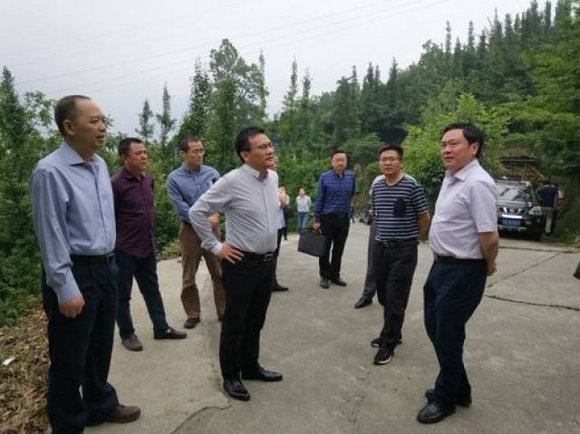 成都市刘玉泉副市长检查指导都江堰市地质灾害防治工作_手机搜狐网