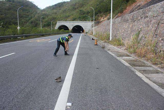 追尾,爆胎,高速路遇到這些情況不能慌