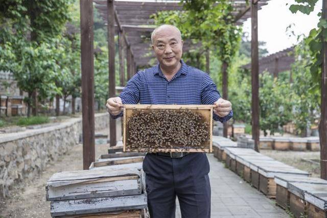 北京京纯养蜂专业合作社理事长王东生 信息来源:第一财经 大家都在看