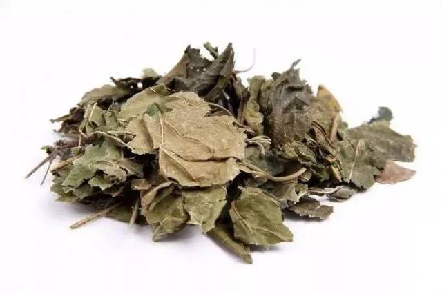 头发早白?试试这5种乌发常用中药及配方