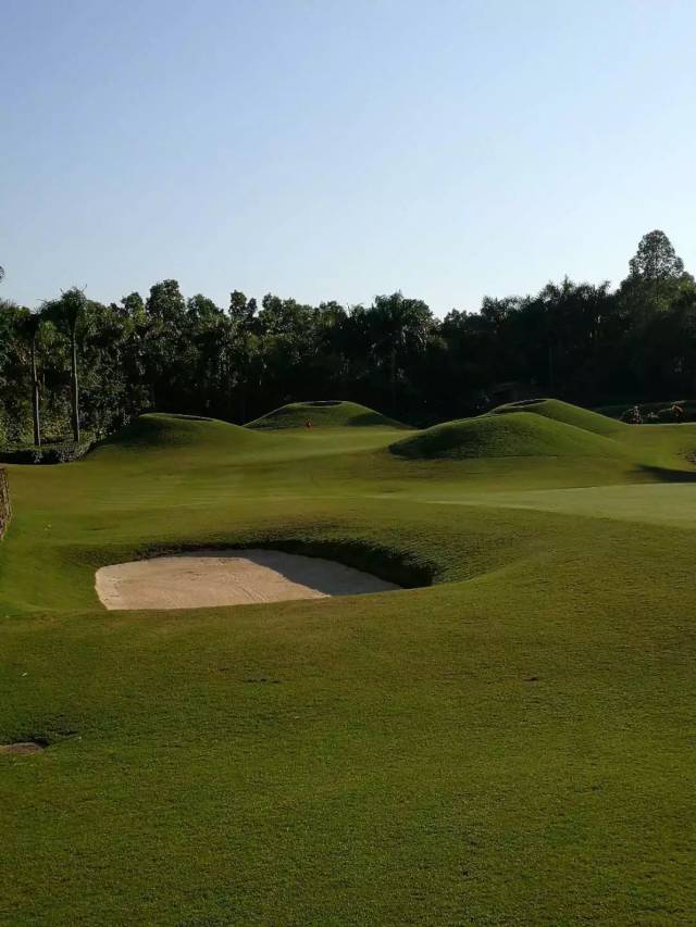 18号洞 标准3杆洞 152 码
