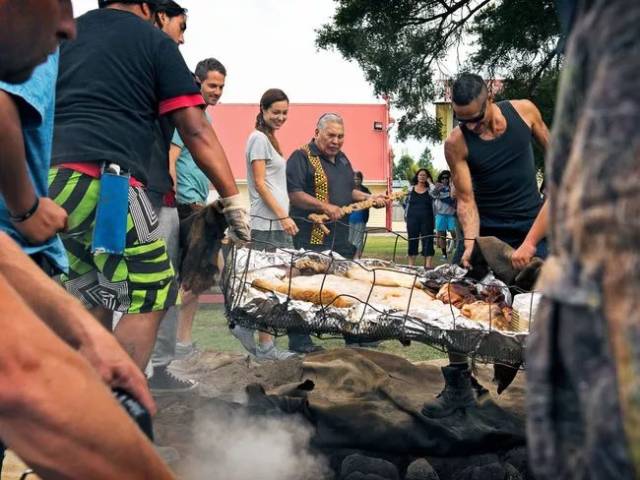 深度了解新西兰毛利文化,这篇攻略就够了!