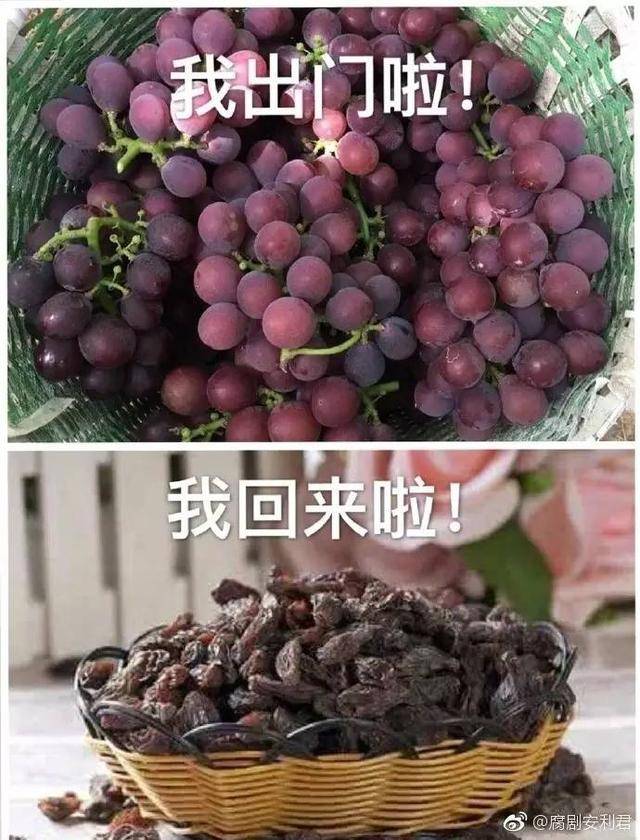 表情包:我出门啦,我回来了