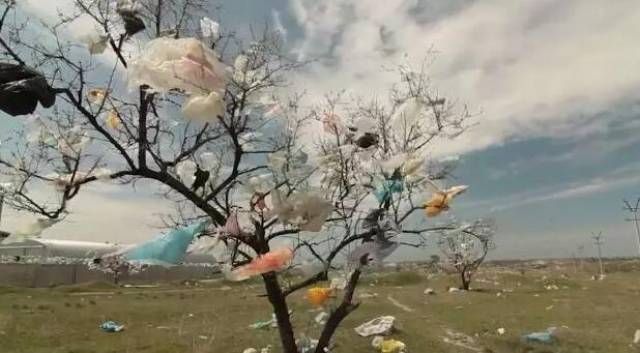 《国家地理》拍下这些恐怖照片,所有人都为之震撼