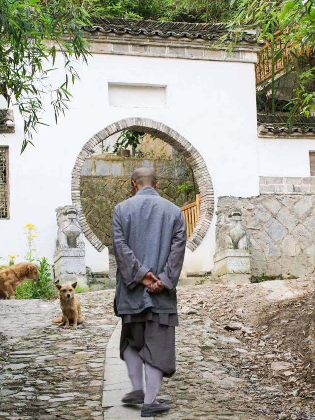 查济深山处独自修行的出家人 在荒山盖了爆美小楼!