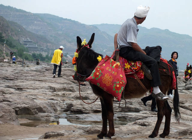 又见壶口,让震耳的水声猛烈而自由的飘荡!