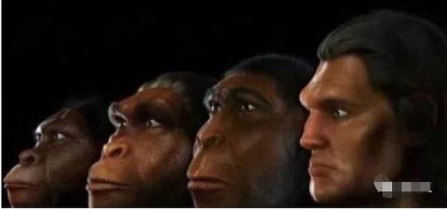 人类不是进化来的,人类杀死了地球原住民后取