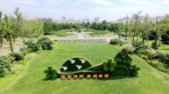 可是你不一定见过 珍贵植物众多的泗阳植物园