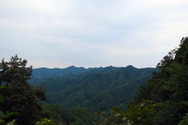 洛陽王府竹海景區將暫停對大巴車的接待