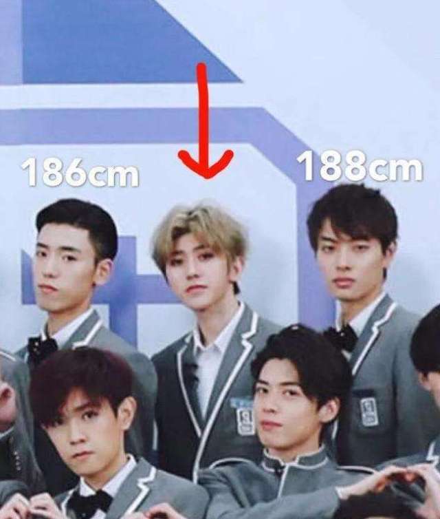 当红男星身高盘点, 王源身高成迷, 鹿晗偏矮, 蔡