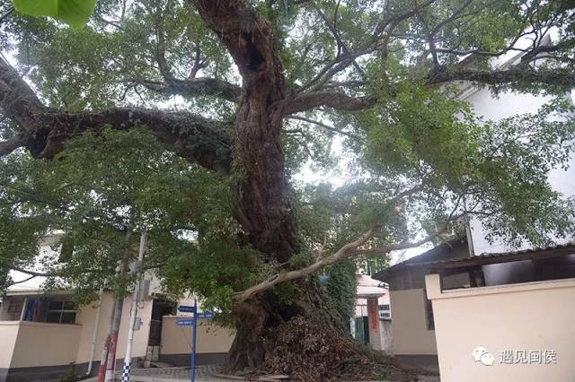 闽侯厚美真有看头,连导演田壮壮都想来此取景