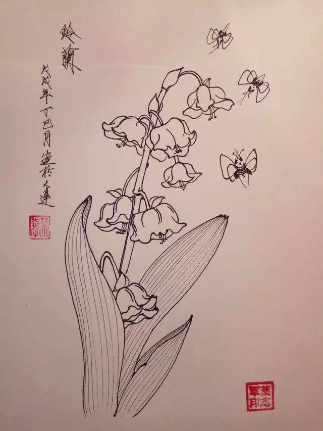 叶志军先生的钢笔白描花卉作品分享