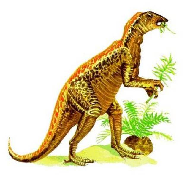 组图:地球上30大最熟悉的恐龙排行榜,霸王龙人人都认识