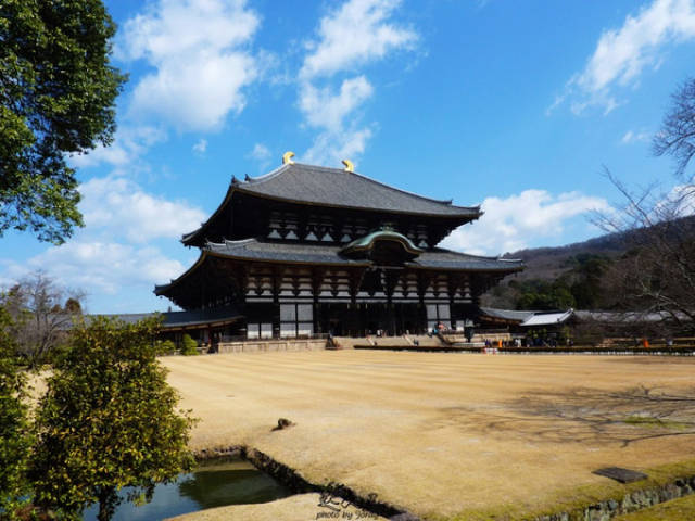 关西奈良大阪,古老的寺庙,宁静祥和的禅花园