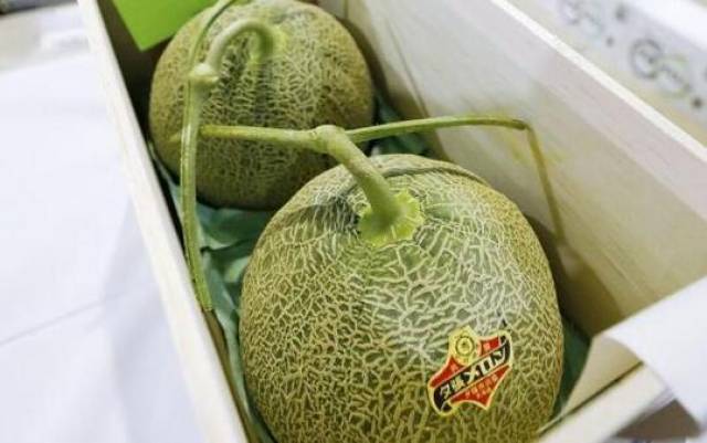 你吃的起吗?日本北海道夕张甜瓜拍出19万元天价_手机搜狐网