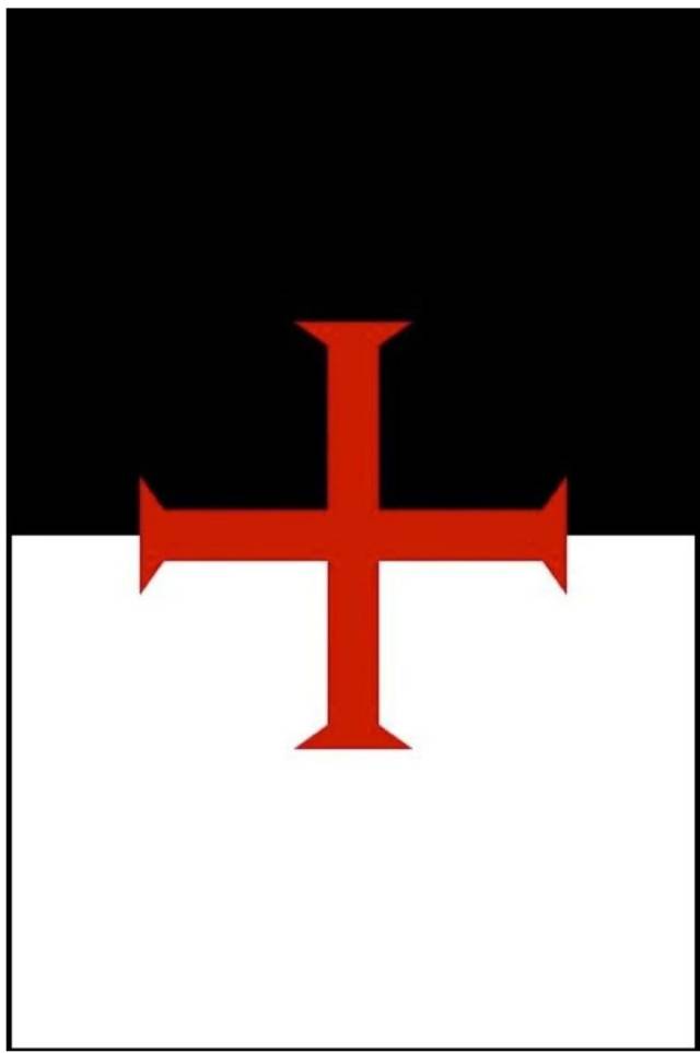 欧洲骑士团大集结|大象文摘