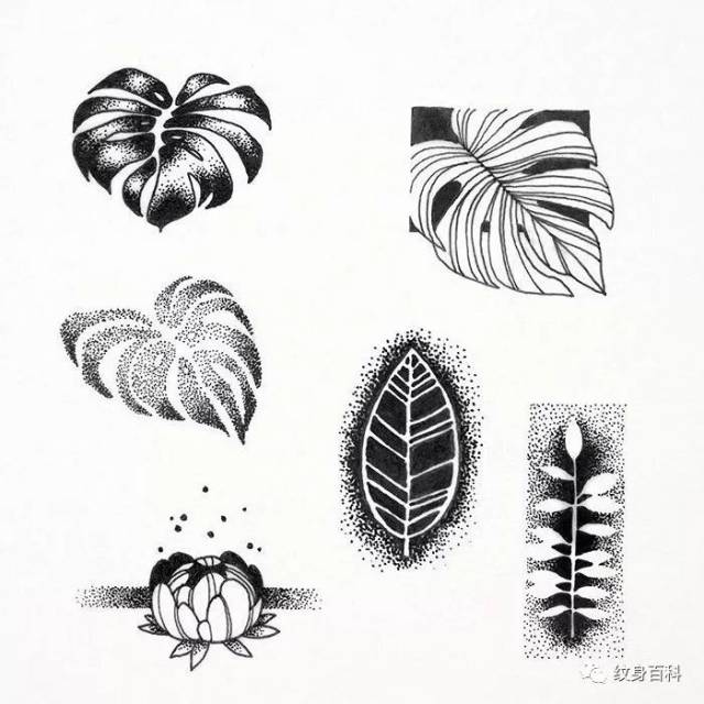 各种植物树叶纹身手稿推荐