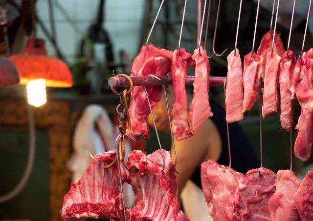 卖猪肉的小媳妇病倒在床,五岁儿子为了给母亲治病成了猪肉小王子