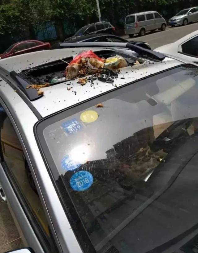 高空抛物有多危险