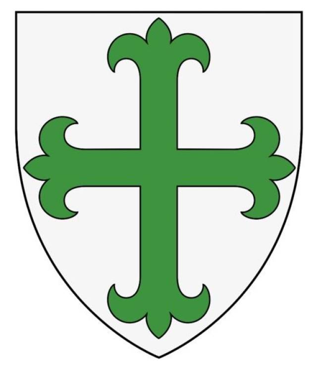 欧洲骑士团大集结|大象文摘