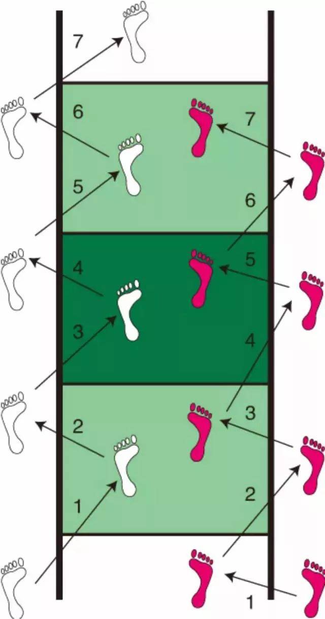 步法移动要求高,绳梯训练法练习灵敏素质