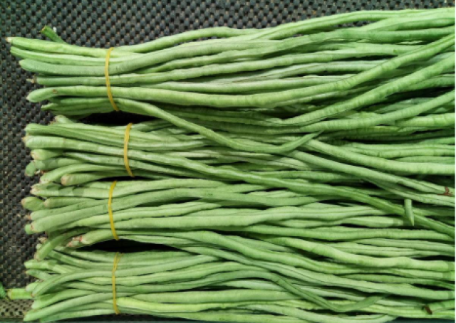 夏季多吃豆豆菜,豆豆可治糖尿病,真乃美味营养防病一举三得!