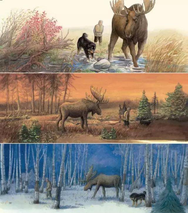 有一本厚重的真实叫《鄂温克的驼鹿》,九儿诉说逐梦的艰辛与幸福