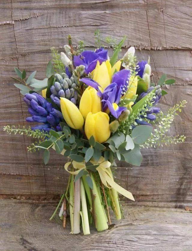 初学插花,绕不掉色彩搭配学