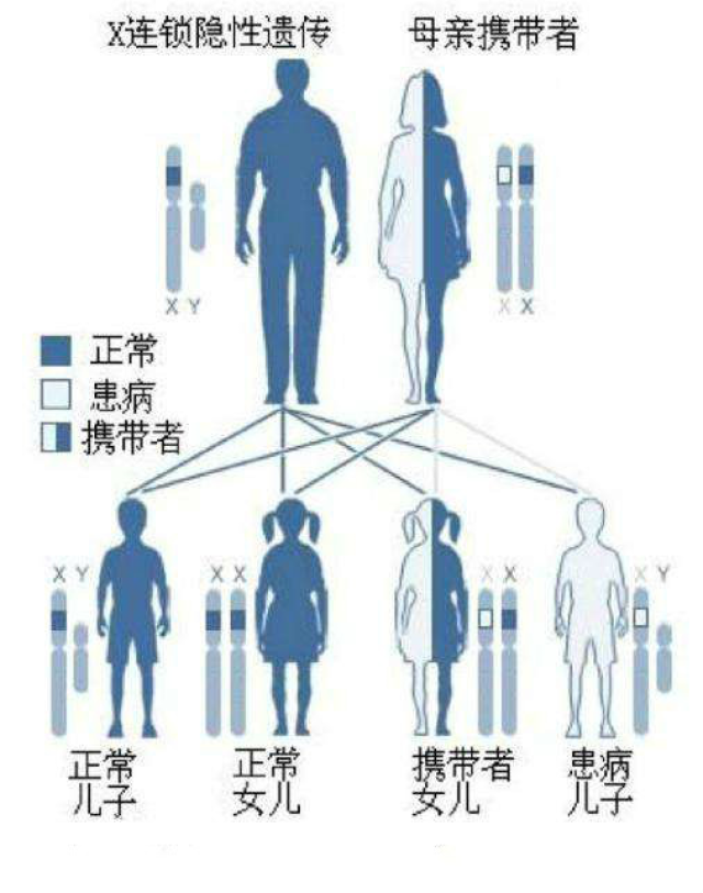 dmd正在残害我们的下一代,我不能袖手旁观!