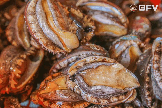 东莞网站建设动态信息公示_(东莞网站建设动态信息公示查询)