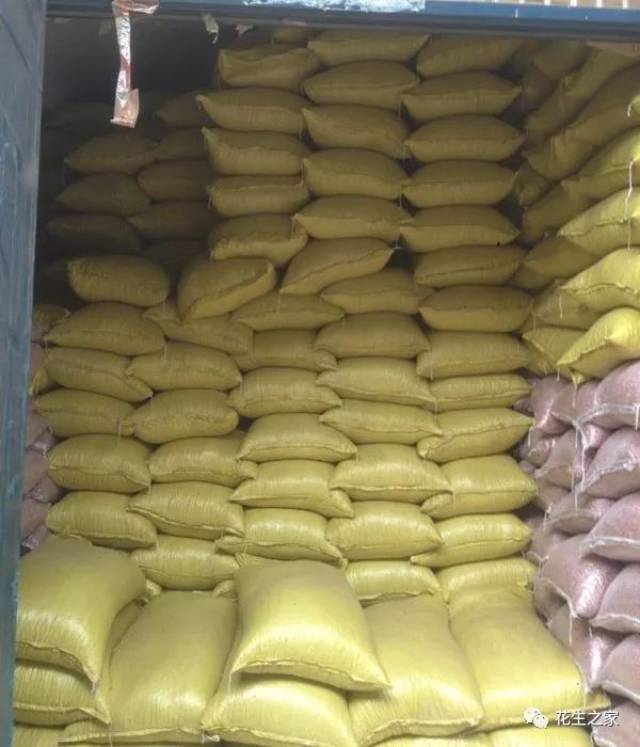 超级供应商推荐:河南开封高兵花生米购销中心(高清杰 )