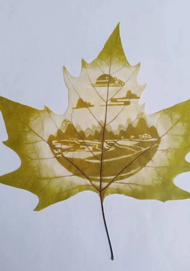 这些刻在树叶上的贵州风情,又要火火火火火啦!