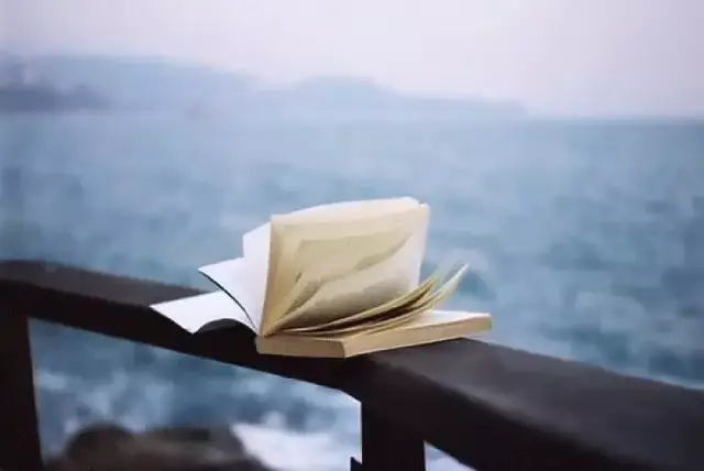 你需要一个地方,释放你的"小情绪"