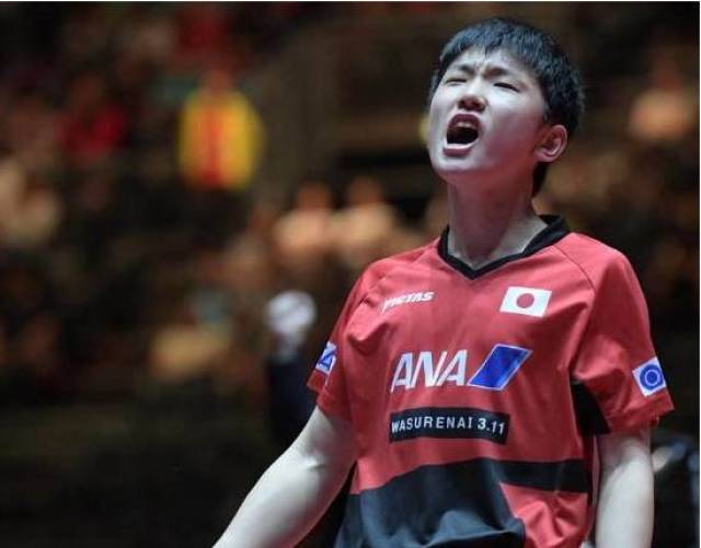 张本智和9岁妹妹入选日本国少队 天才少女将赴